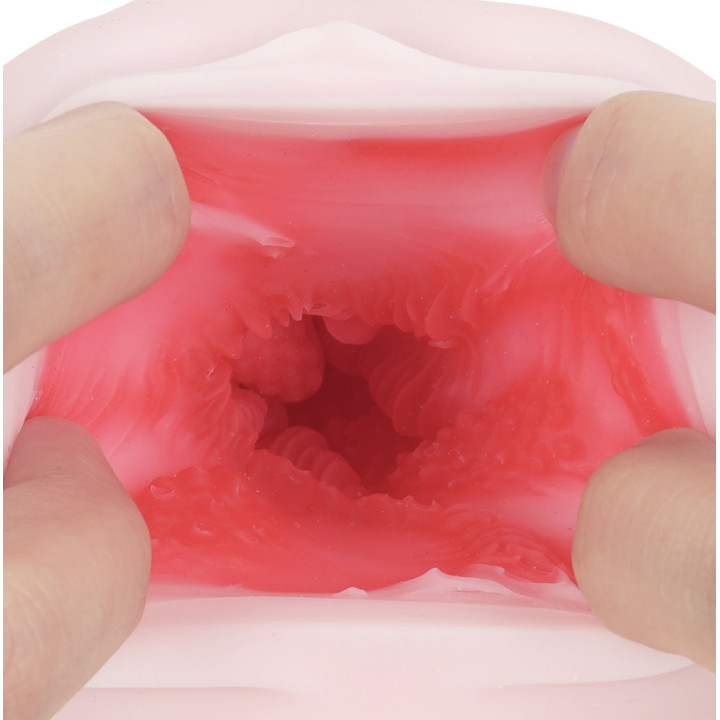 Aoharu Enchant Case 01 Miipon