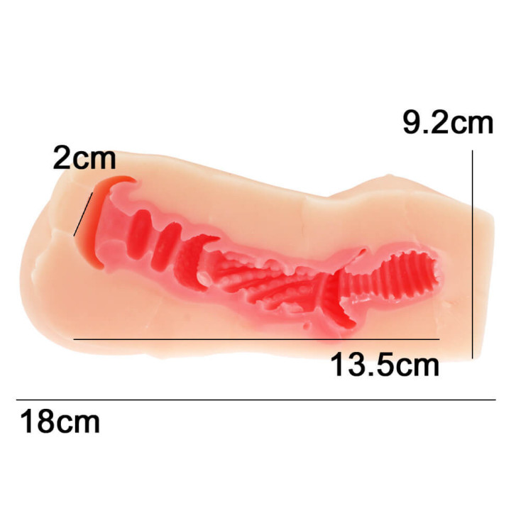 Secret Sex Contract with a Succubus