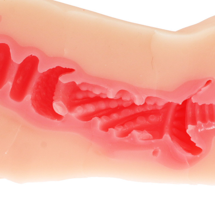 Secret Sex Contract with a Succubus