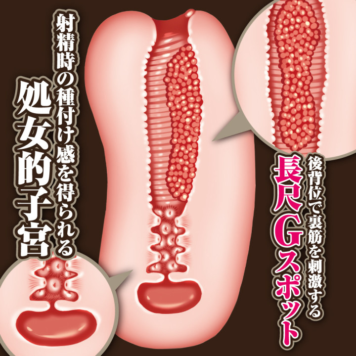 The Alchemist of Ars Magna Celestine Megistus