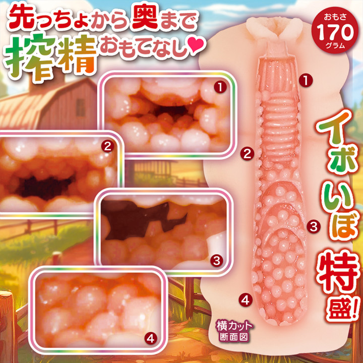 Welcome Breeding Stallion!