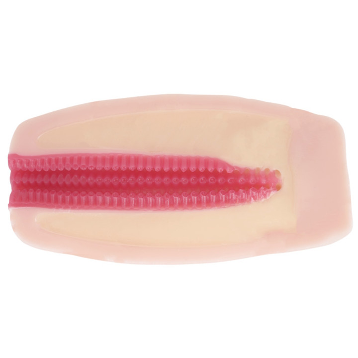 The Meister Classic Titudansou