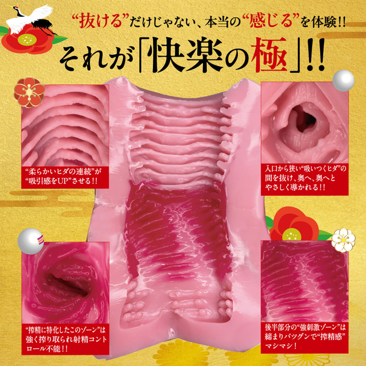 The Height Of Pleasure Kiwami