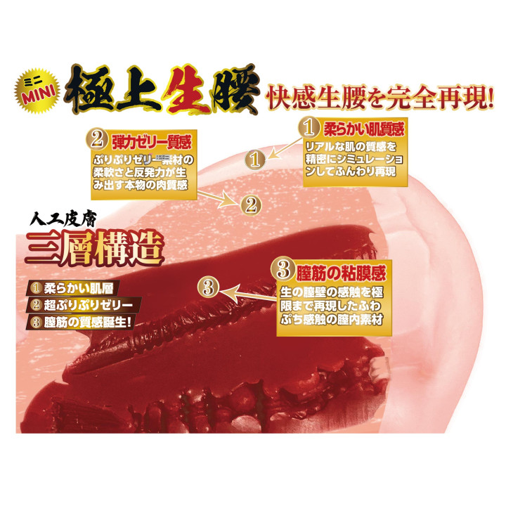 Extreme Pleasure Hip Mini Mori Hinako