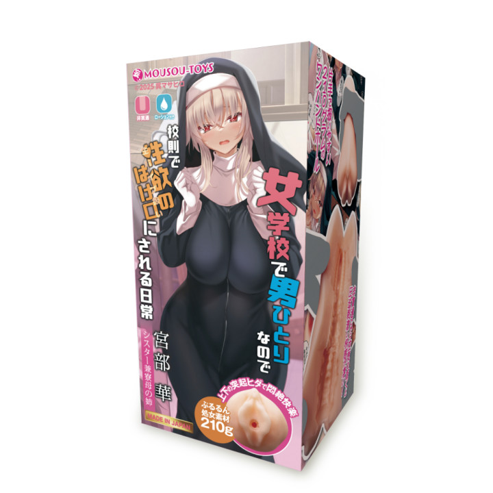 The Only Male Student At The Girl School Hana Miyabe - doujinshi series
