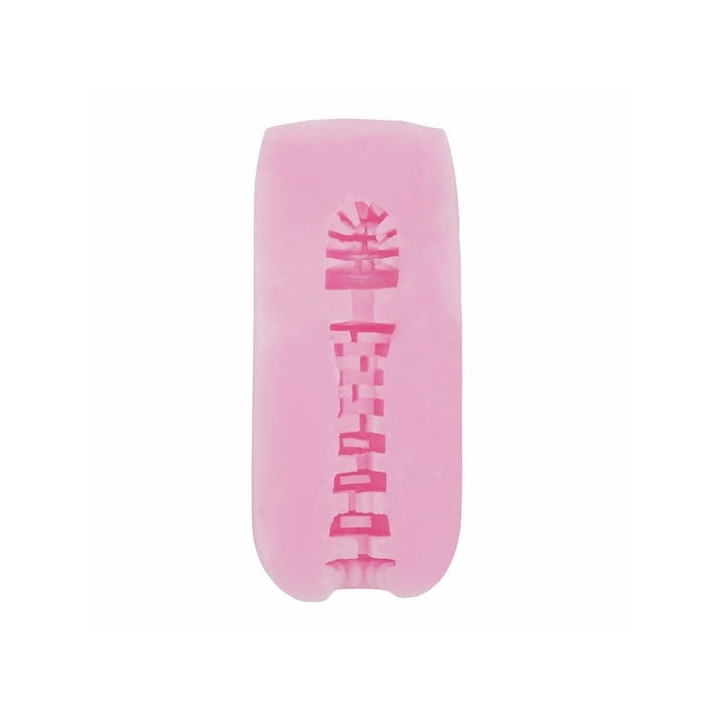 Student Council President Cheerleader