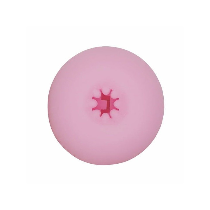 Student Council President Cheerleader