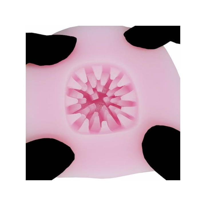 Student Council President Cheerleader