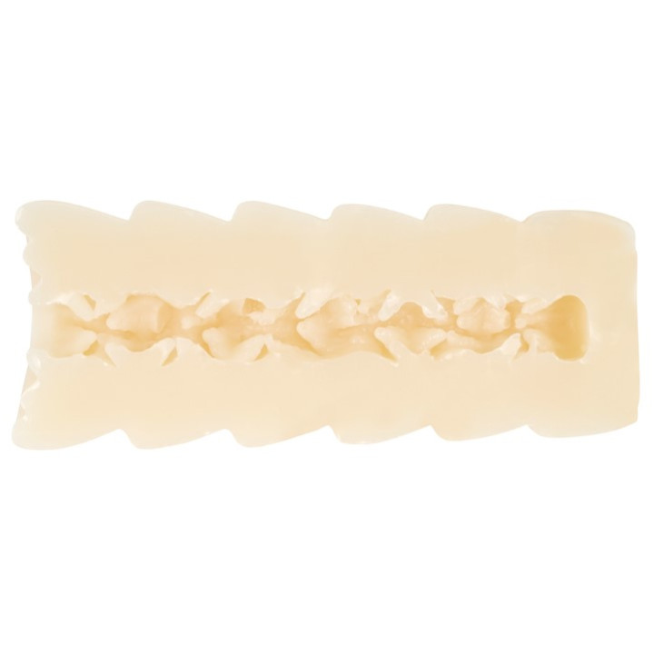 The Amazing Landmine Girlfriend I Met on Dating App