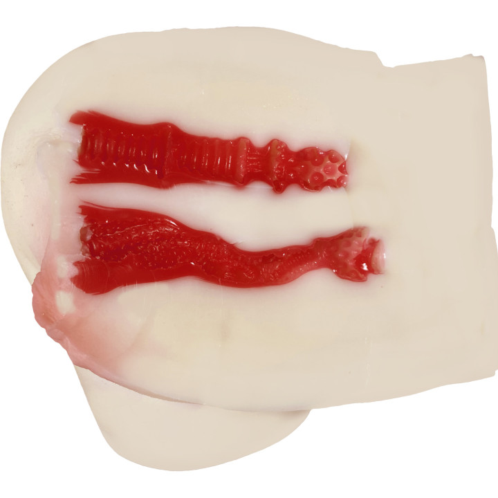 Extreme Pleasure Hip Mini 2 Arina Hashimoto