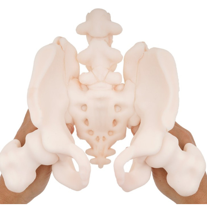 Inner Bone Organo Hips