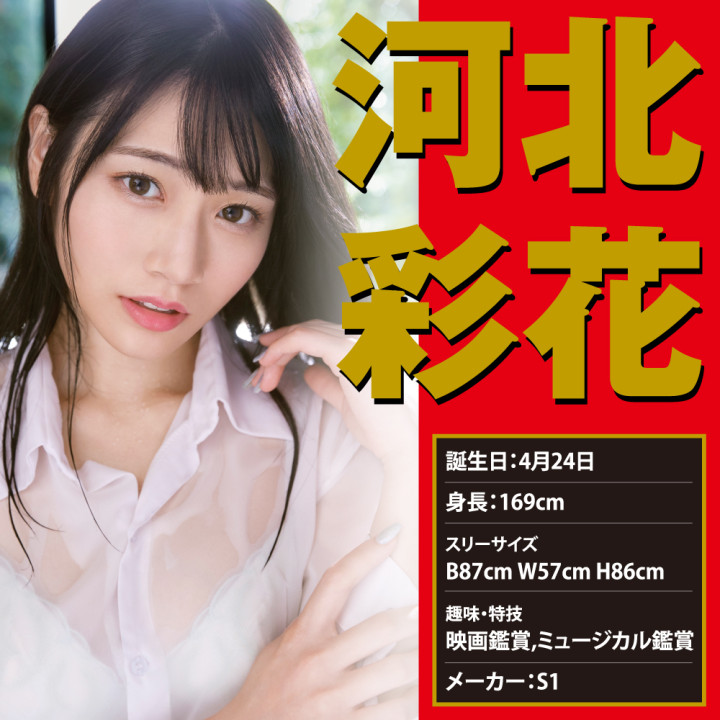 Japanese Real Hole Geki Saika Kawakita