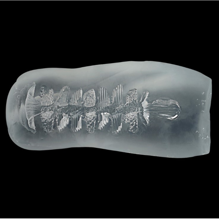 Elaborate Vagina Lewd Spiral Sukesuke