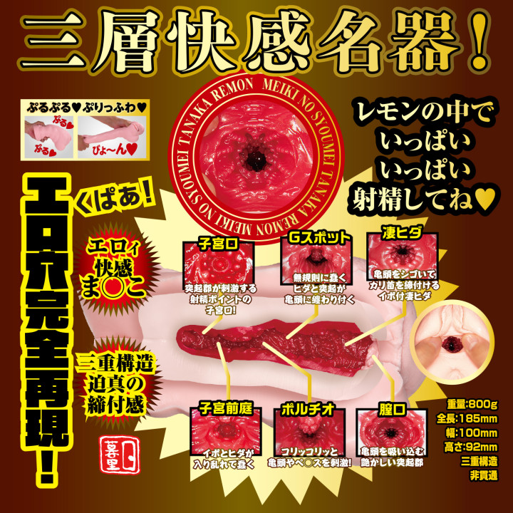 Meiki no Syoumei 013 Tanaka Remon