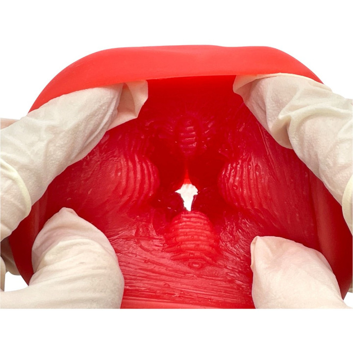 Kaku-Meiki Mimizu 555