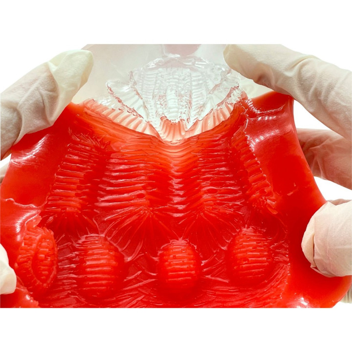 Kaku-Meiki Mimizu 555