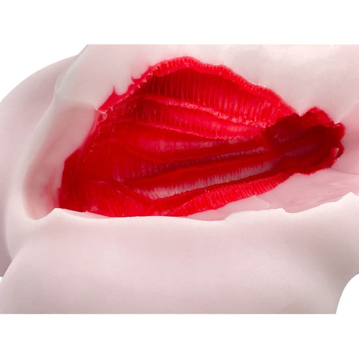 Floor Sex Zero Succubus Gal Standard