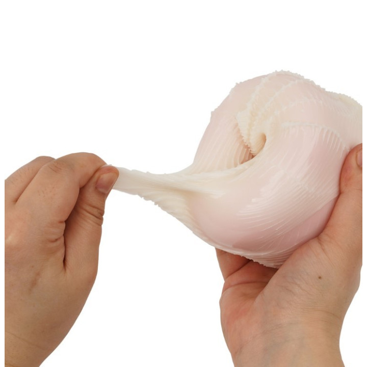 Seijyu Meganekko Nurse