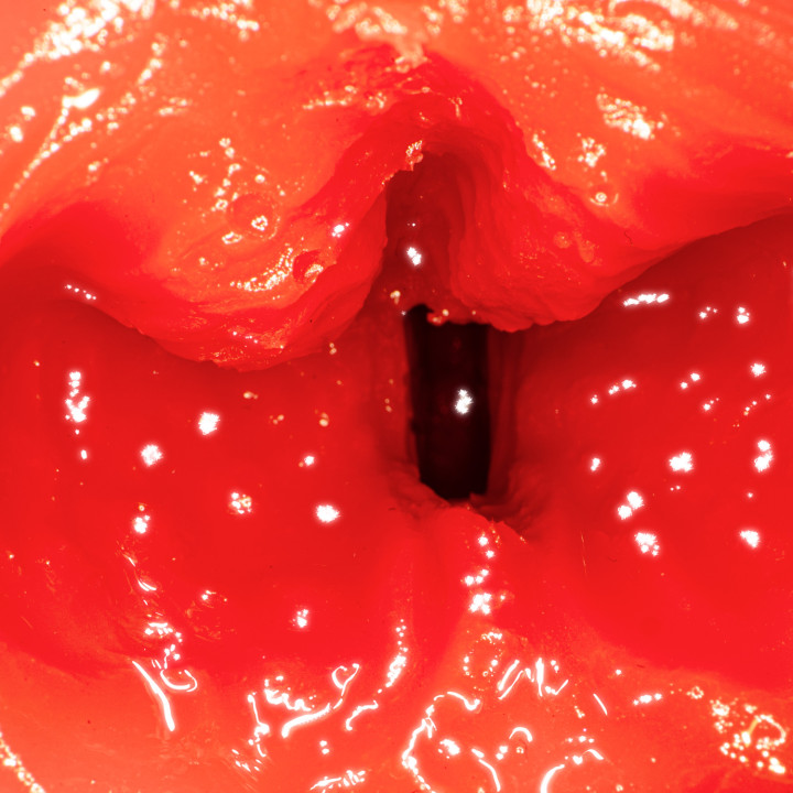 Nekomimi Fera Nyan Mia Nanasawa