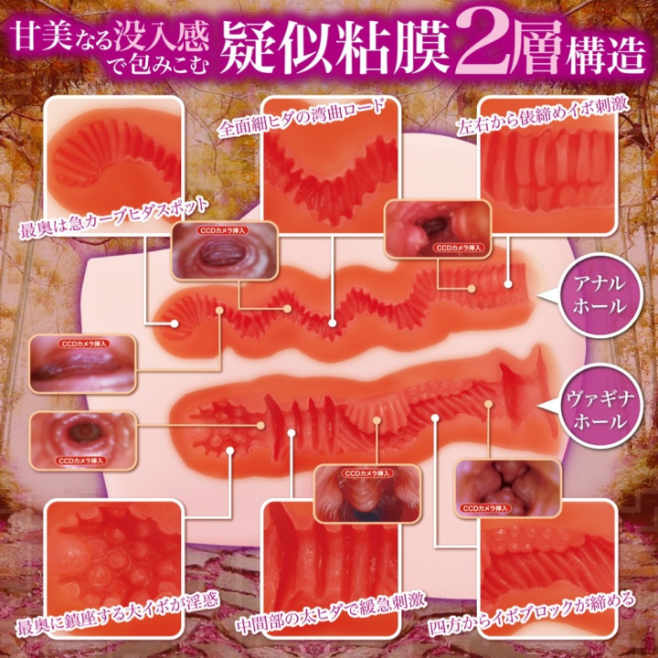 INWAKU LABYRINTH SOFT