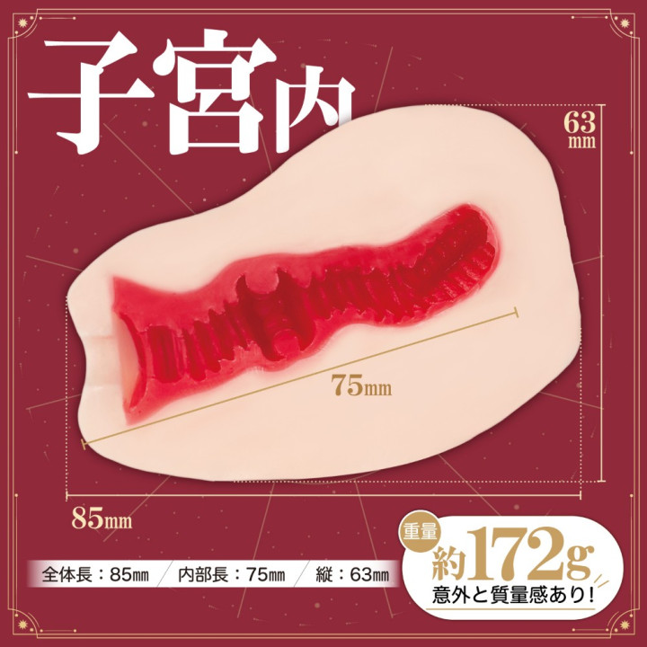 Nagisa Ikuno's Uterus