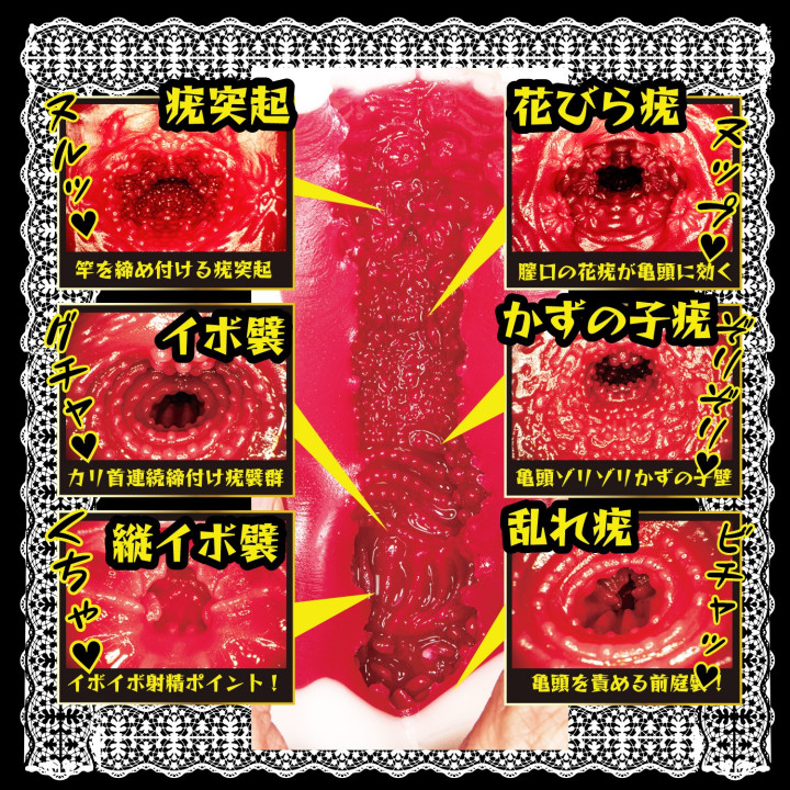 Beautiful Maid Meiki Minami Aizawa