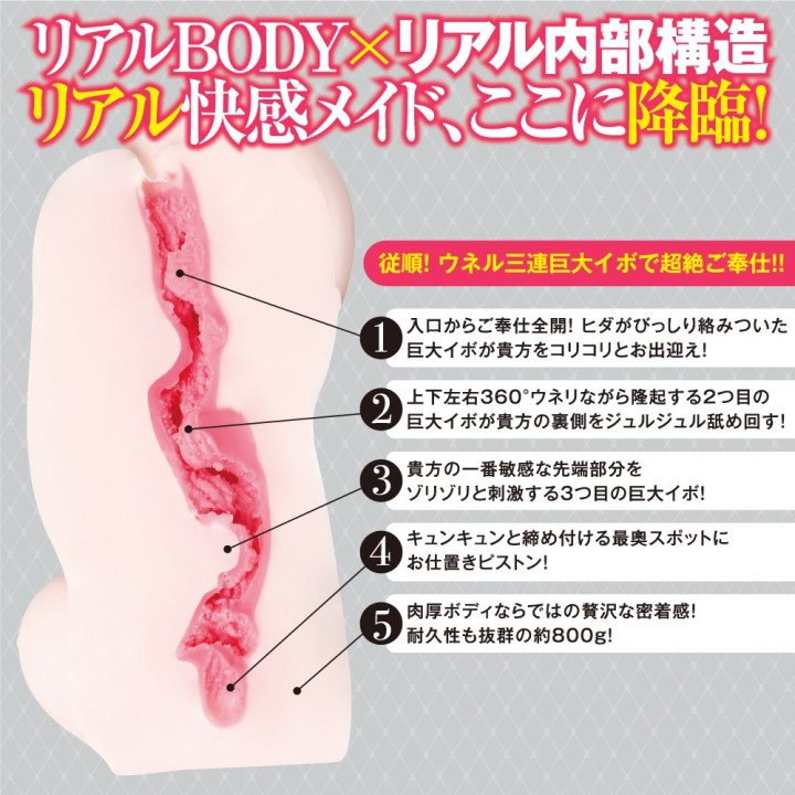 My Erotic Maid Servant