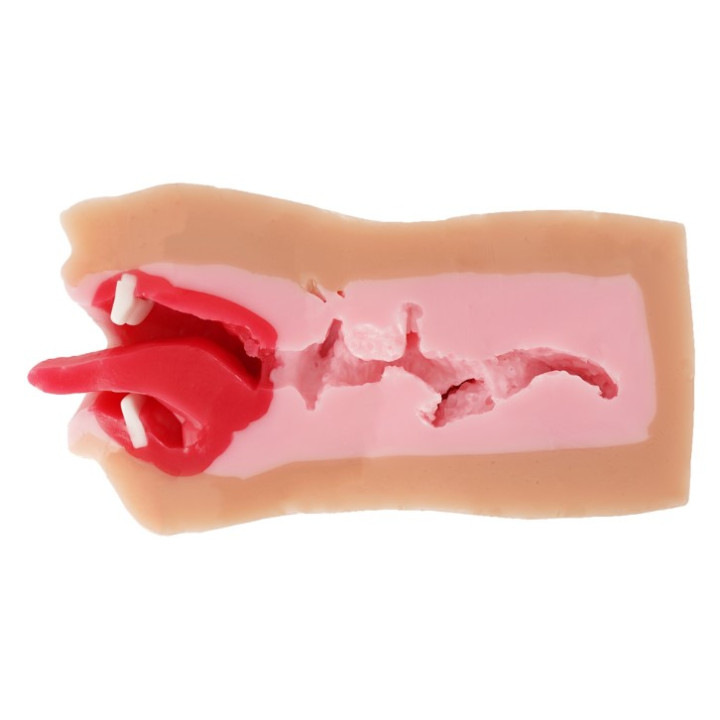 Super Gal Rich Thick Blowjob