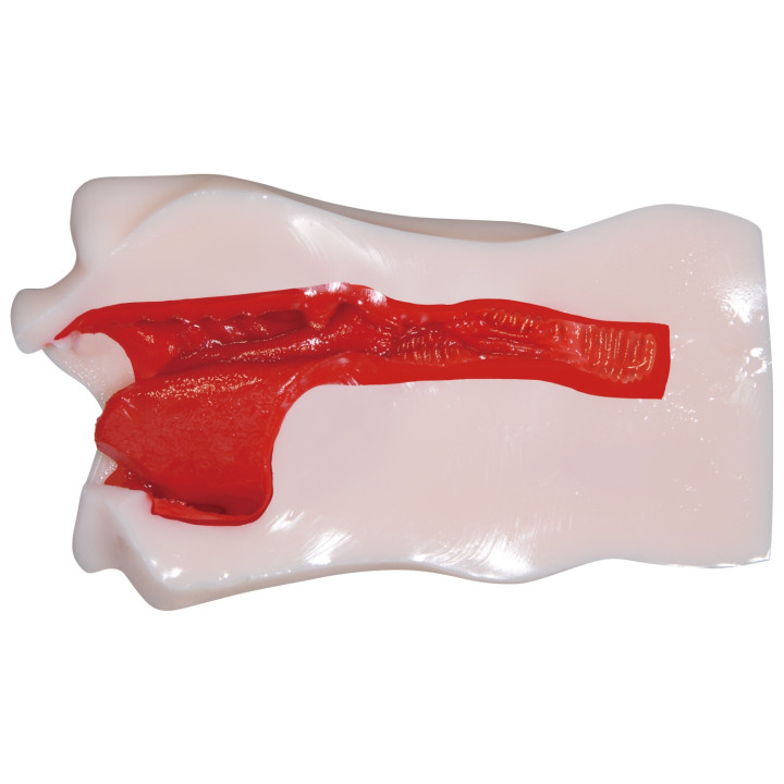 Geki-Fera Vacuum Aika