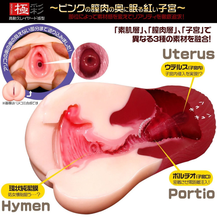 Uterus