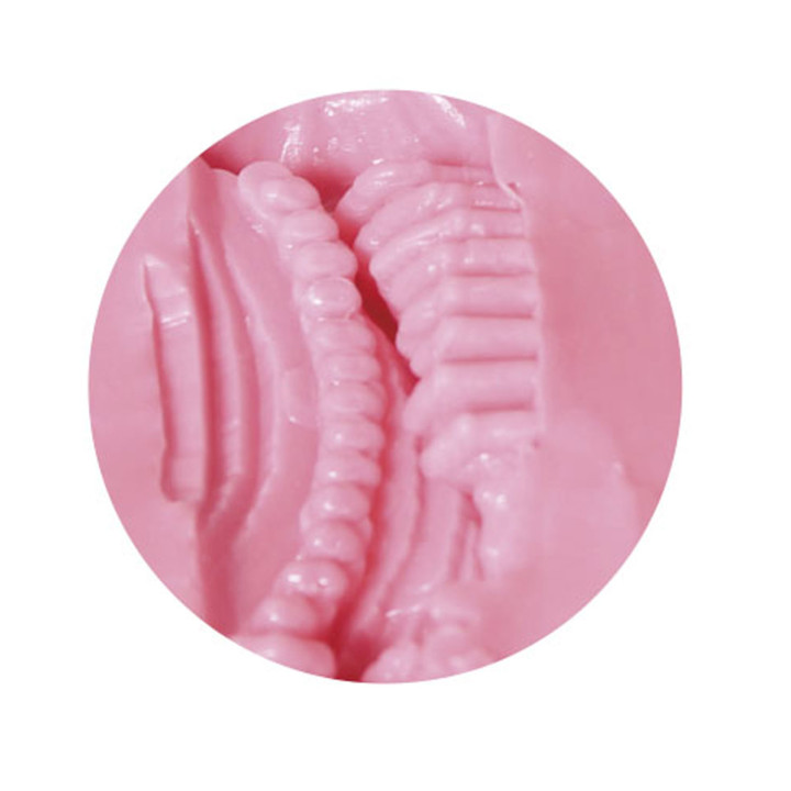 Saunagalga Totonoeruu