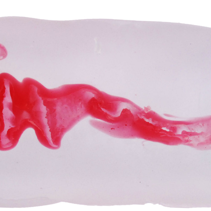 Sujiman Kupa Lolinco Crystal Hard