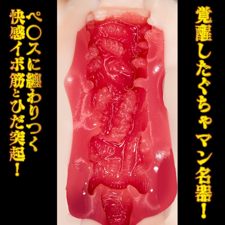 Meiki Kakusei Minami Aizawa