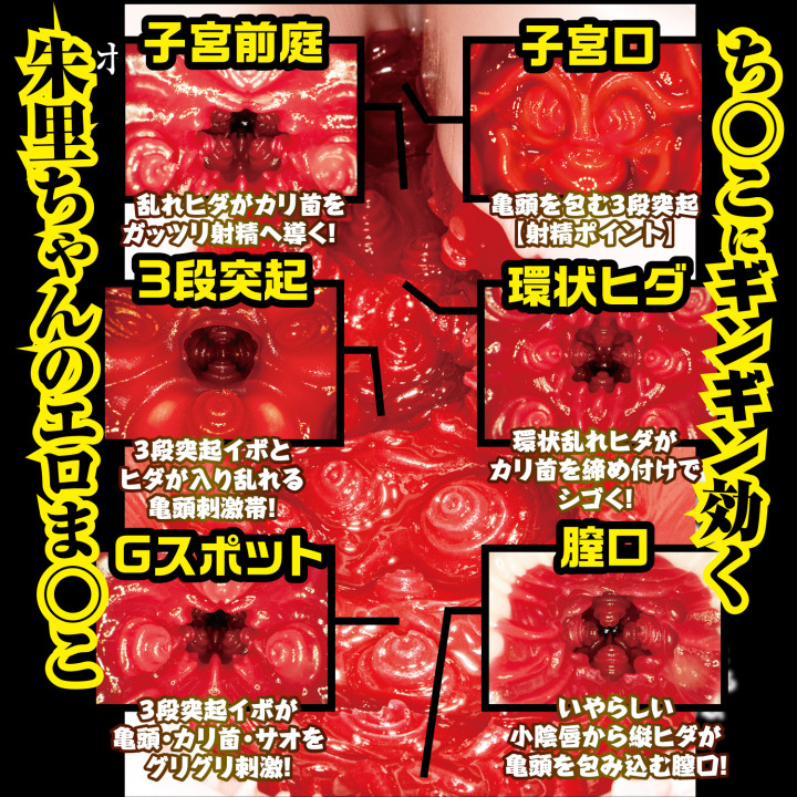 New Meiki no Syoumei 002 Akari Mitani