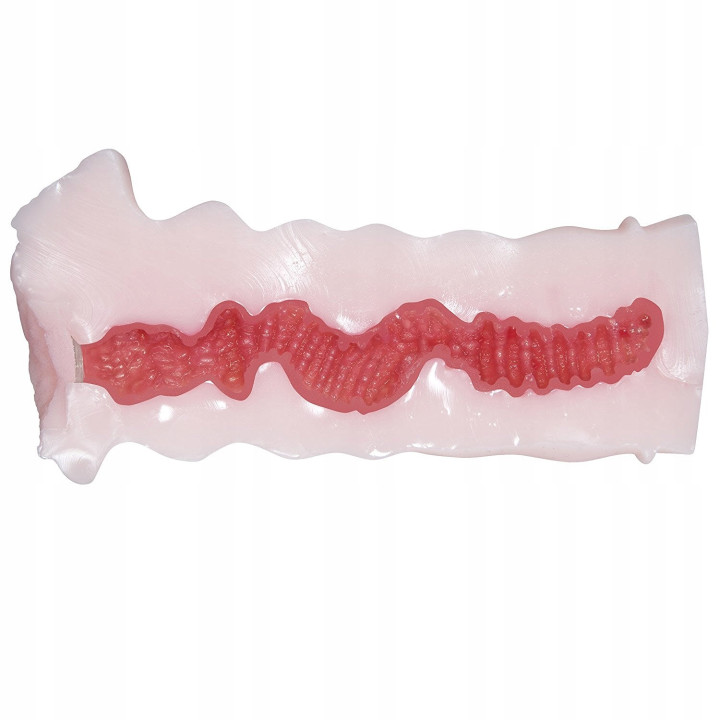 Masturbator N.P.G Virgin Hole 01