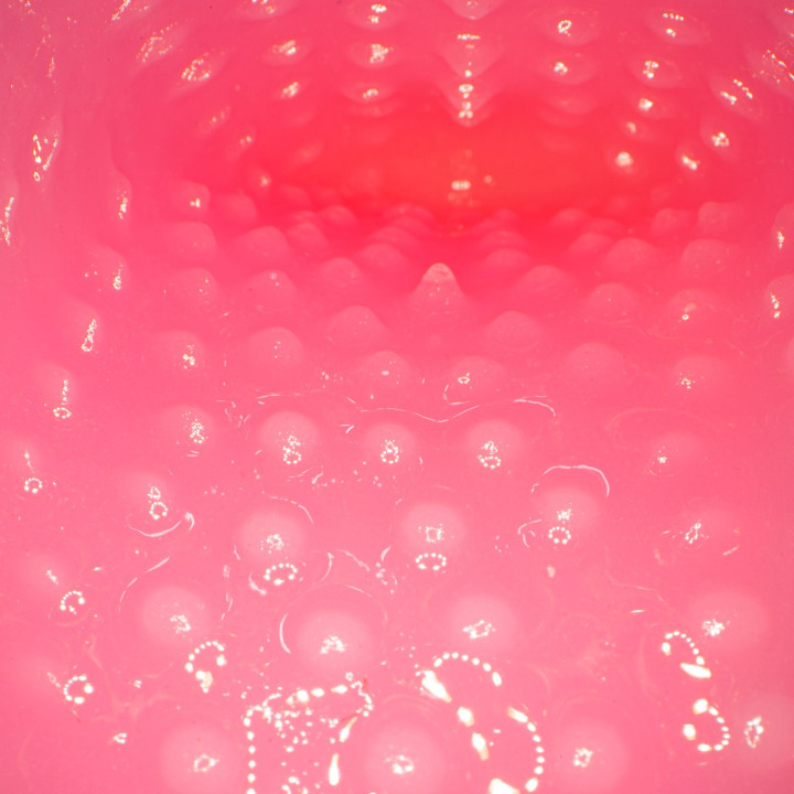 Meiki no Hinkaku Black Label