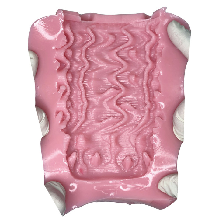 Servant of Unknown Superior