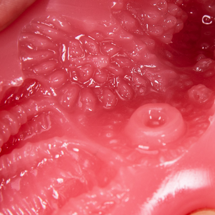 Young Wife Meiki Mizuno Asahi