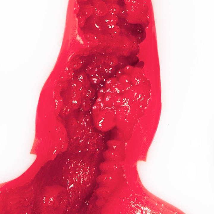 Erofera Tongue Technique Mizuno Asahi