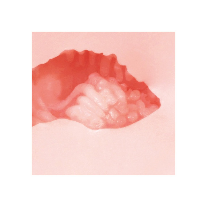 Meiki no Syoumei 08 Hibiki Ootsuki