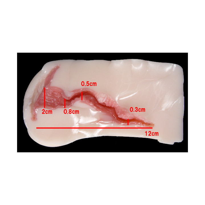 Meiki no Syoumei 07 Sarah