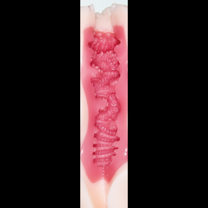 Meiki no Syoumei 11 Takahashi Shoko