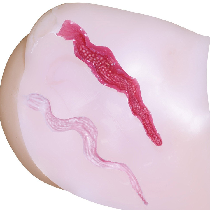 Extreme Pleasure Hip Shinsei