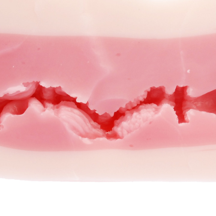 Rin Sakuragi Onahole