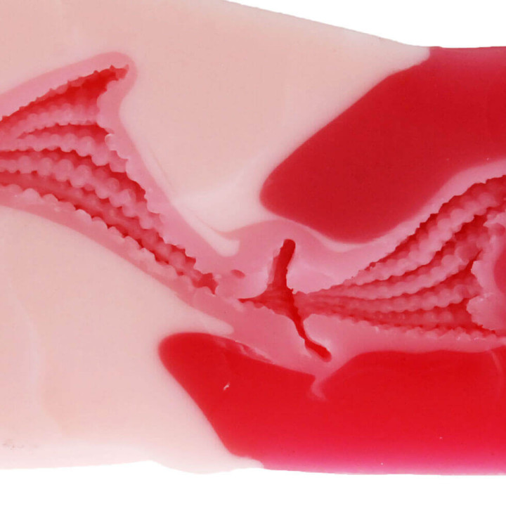 Gokusai Uterus MoonShot