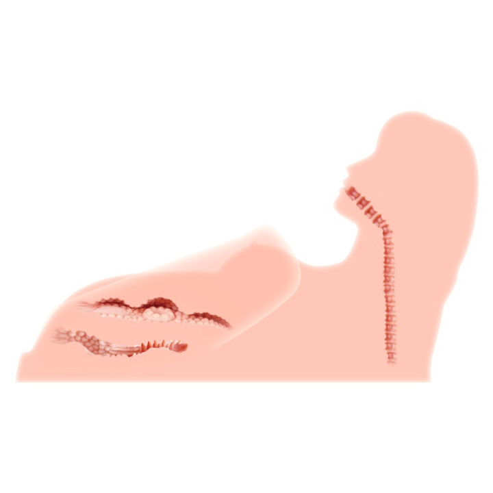 Meiki Premium Hera 3