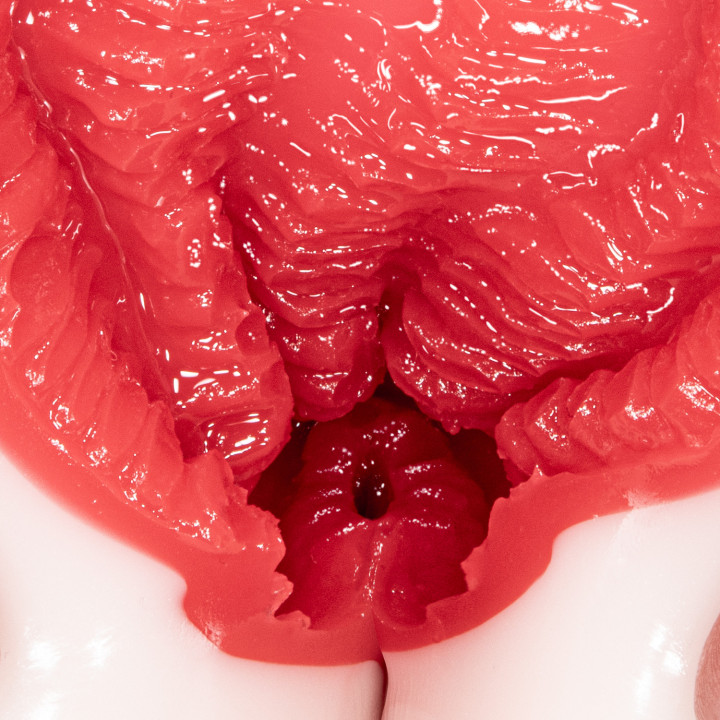 Meiki Kakusei Rima Arai