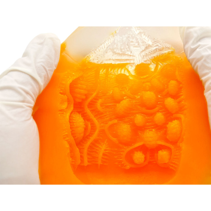 Kaku-Meiki Mimizu 990