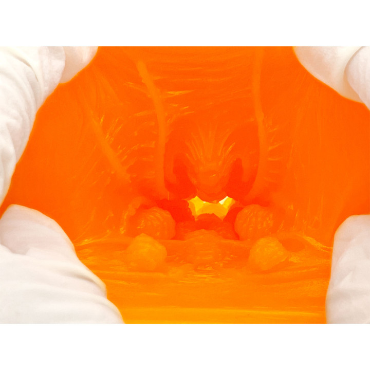 Kaku-Meiki Mimizu 990