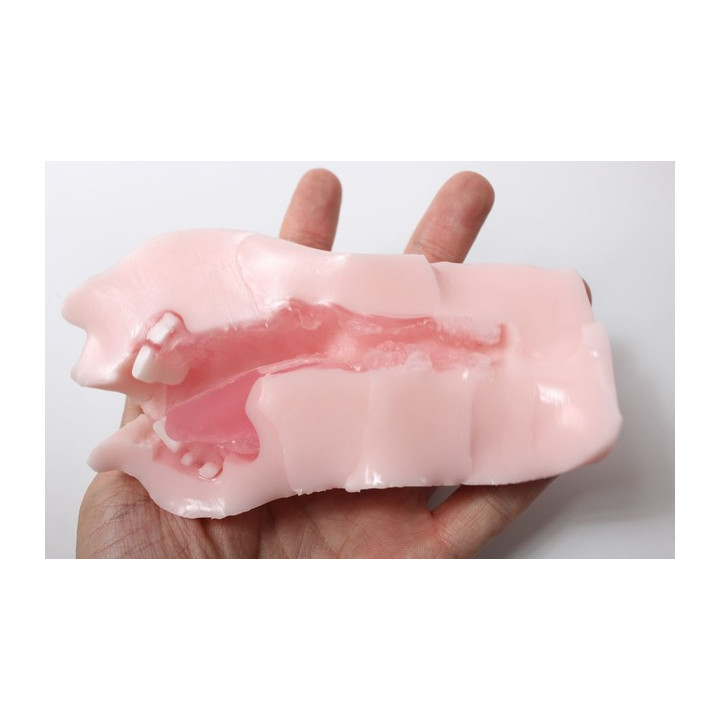 La Bocca Della Verita Ochoboguchi Mini